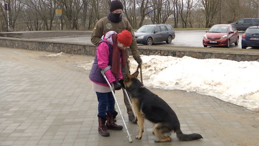 Lietuvoje tokie – vos keli: šuo asistentas palengvina gyvenimą turintiems negalią